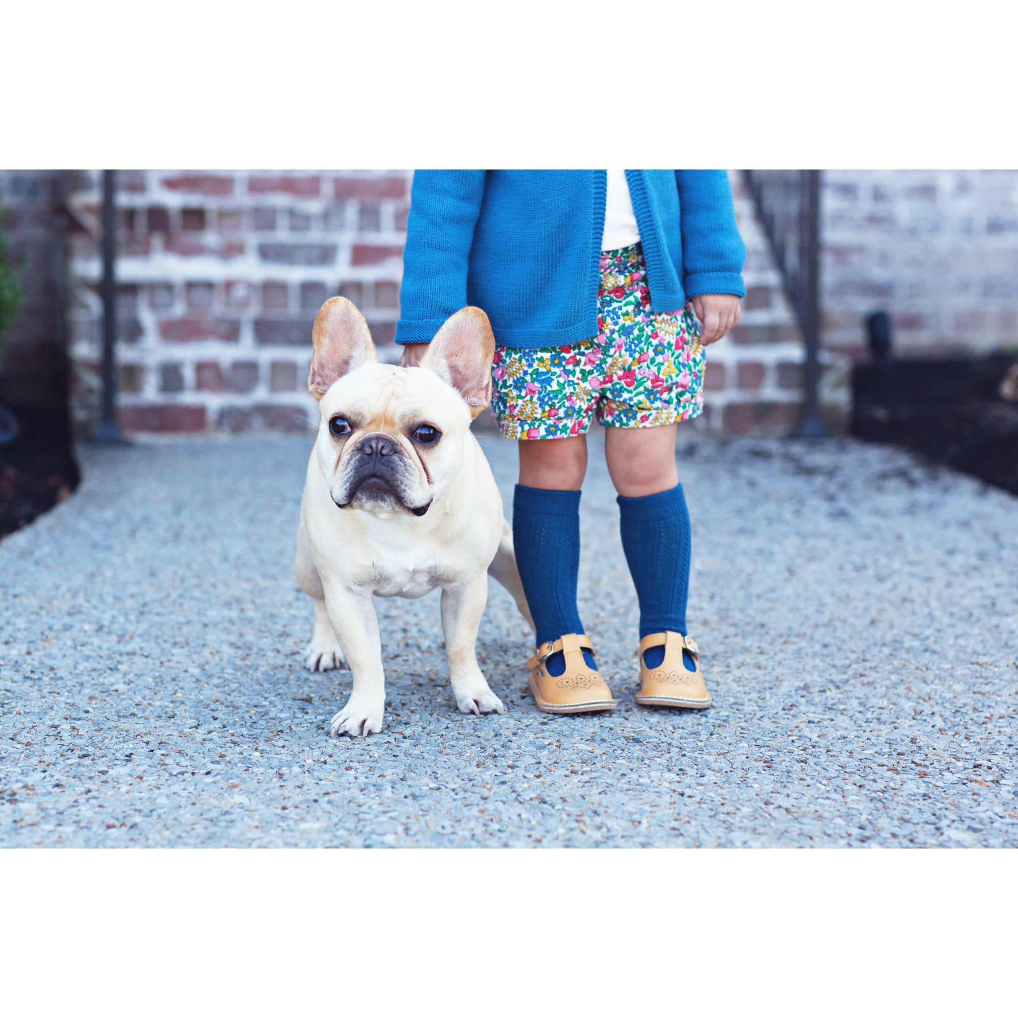 Ollie T-Strap Leather Mary Jane Mustard