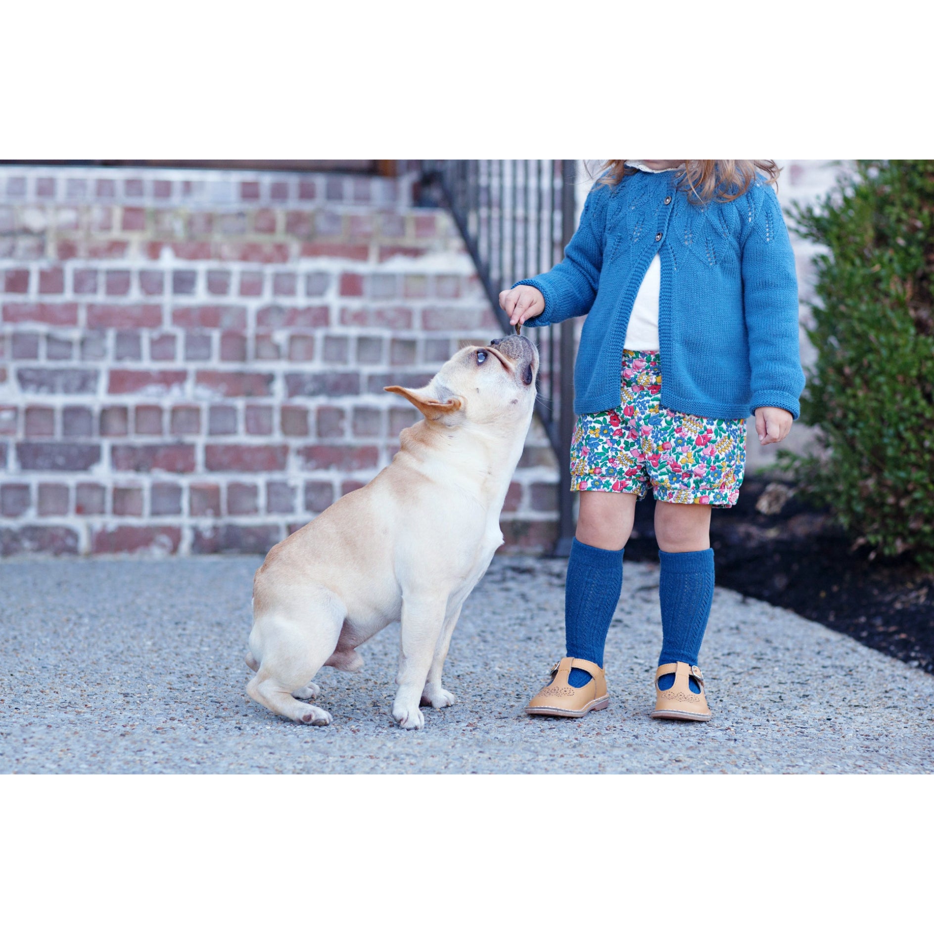 Ollie T-Strap Leather Mary Jane Ollie Mustard T-Strap Leather Mary Jane - L'Amour Shoes